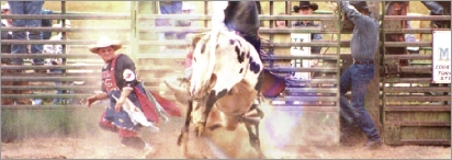 Rodeo34